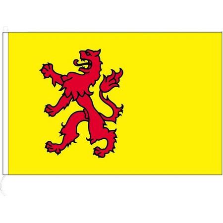 Zuid Hollandse vlag Zuid Holland 70 x 100cm
