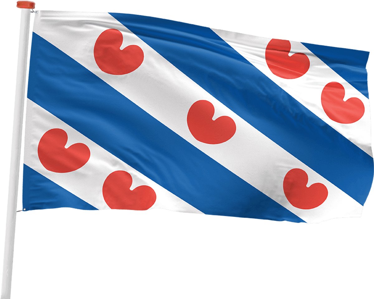 Friese Vlag Friesland - 200 x 300 cm - Vlag voor vlaggenmast - Premium Kwaliteit Buitenvlag - Koningsdag - Dodenherdenking - Bevrijdingsdag