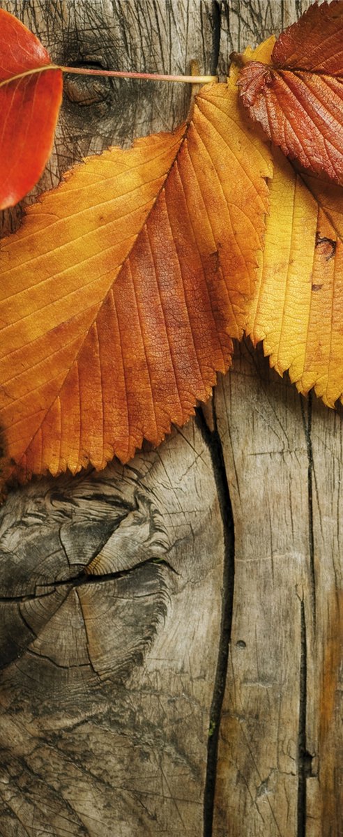 Banner Aberdeen Banner 75x180 cm