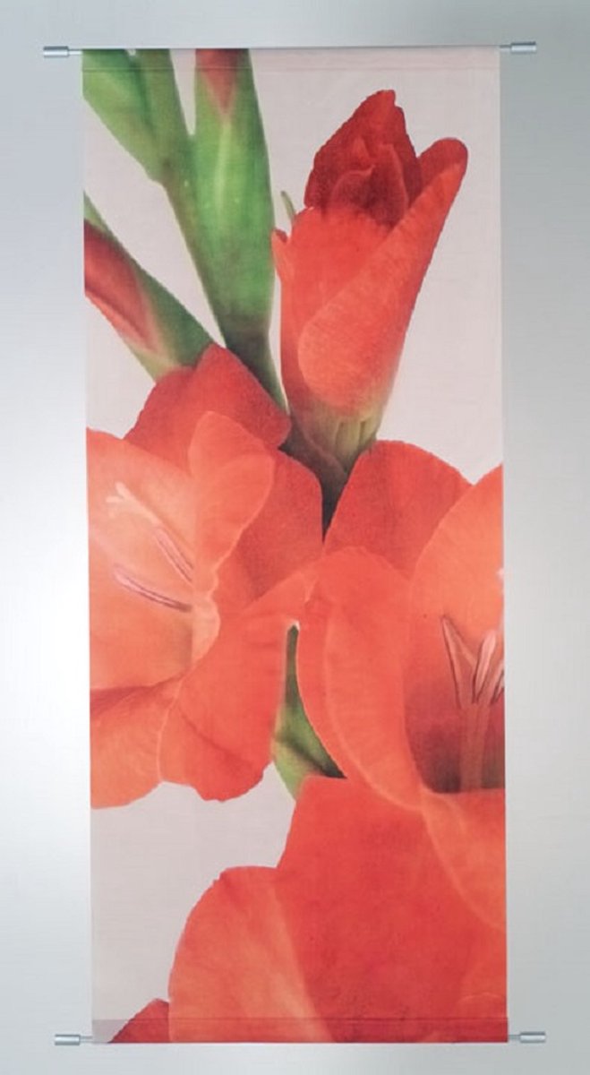 Banner Fabiola 75x180 cm