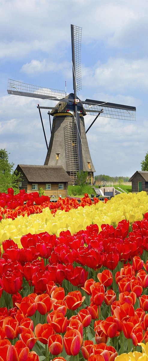 Banner Lisse 75 cm x 180 cm