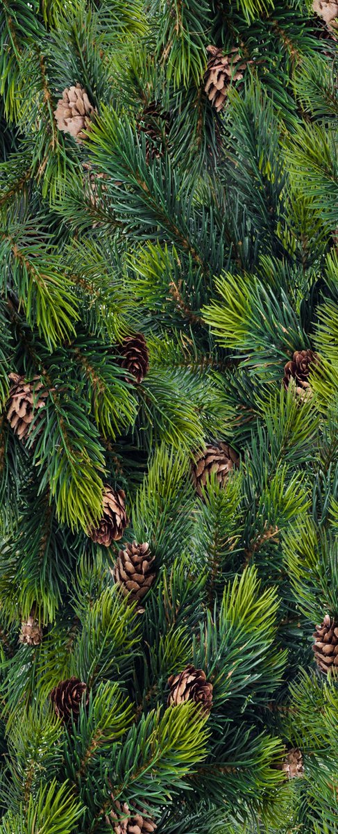 Banner Marvin 75 cm x 180 cm