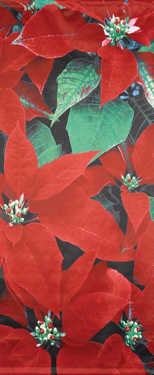 Banner Osna Banner 75x180 cm