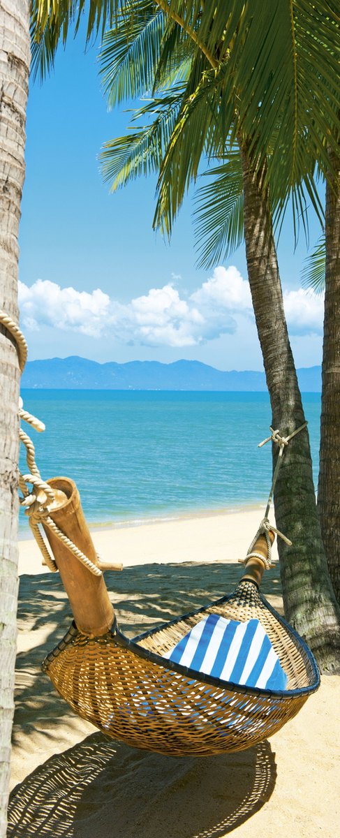 Banner Palms 75 cm x 180 cm