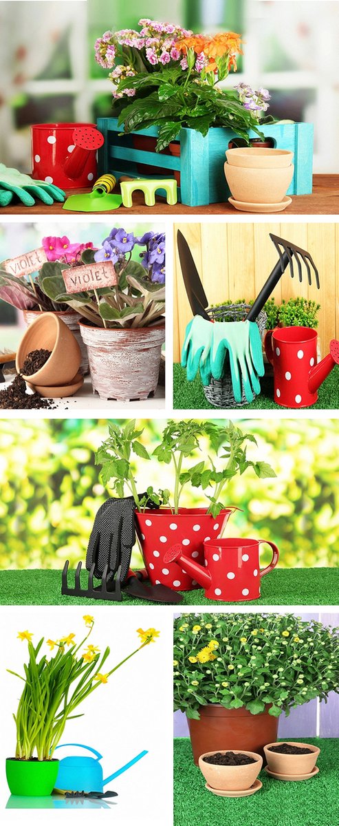 Banner Sylvia 75 cm x 180 cm