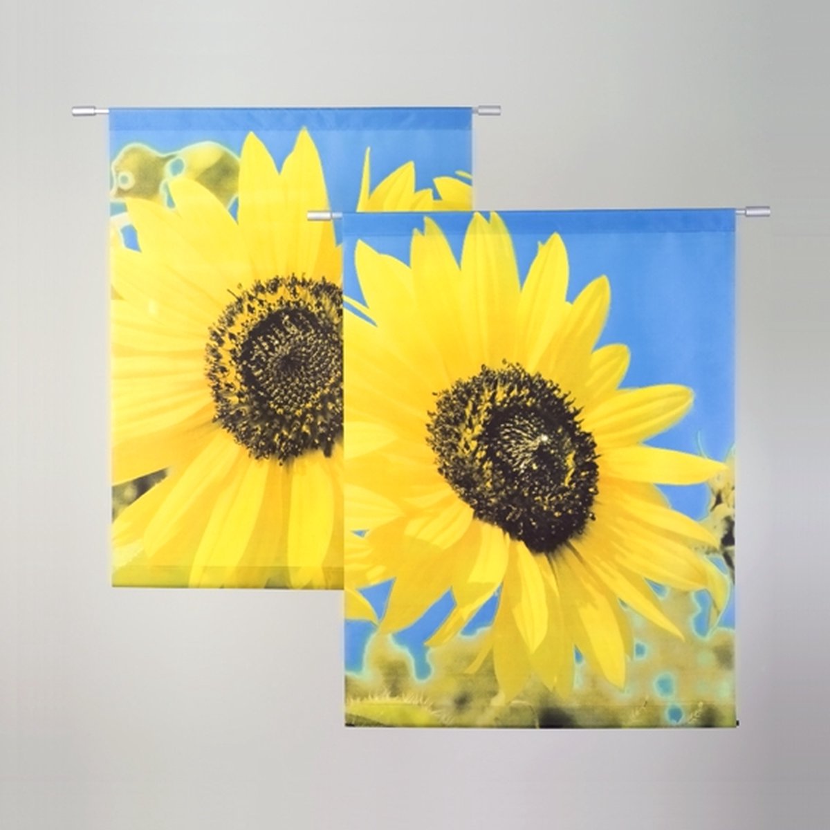 Banner Vence 2 pieces A + B Banner 75x100 cm 2 stuks - Zonnebloem