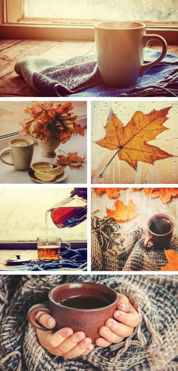 Display Banner Fenna 90 cm x 180 cm