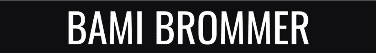 2X Kenteken stickers los - BAMI BROMMER