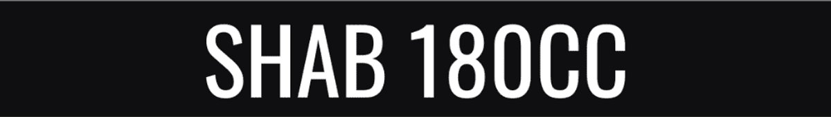 2X Kenteken stickers los - SHAB 180CC