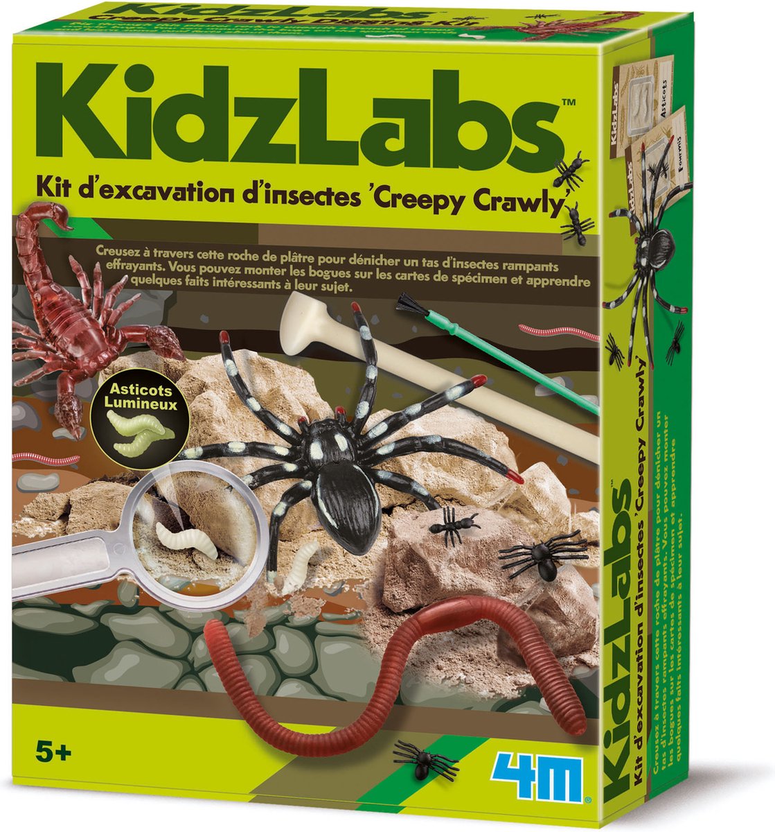 4M Kidzlabs: OPGRAAFKIT INSECTEN CREEPY CRAWLY / F R A N S T A L I G E VERPAKKING, in doos 17x22x6cm, 5+