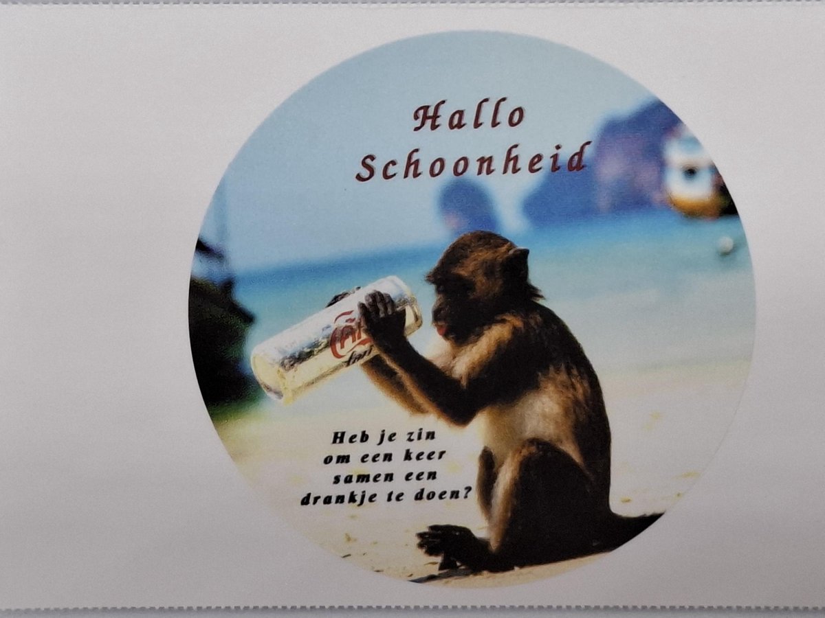 SLUITSTICKERS Drankje 10 stuks – 50 mm – drankje doen - geweldig - Kadosticker – gift – bedankt - Sluitzegel – cadeau sticker