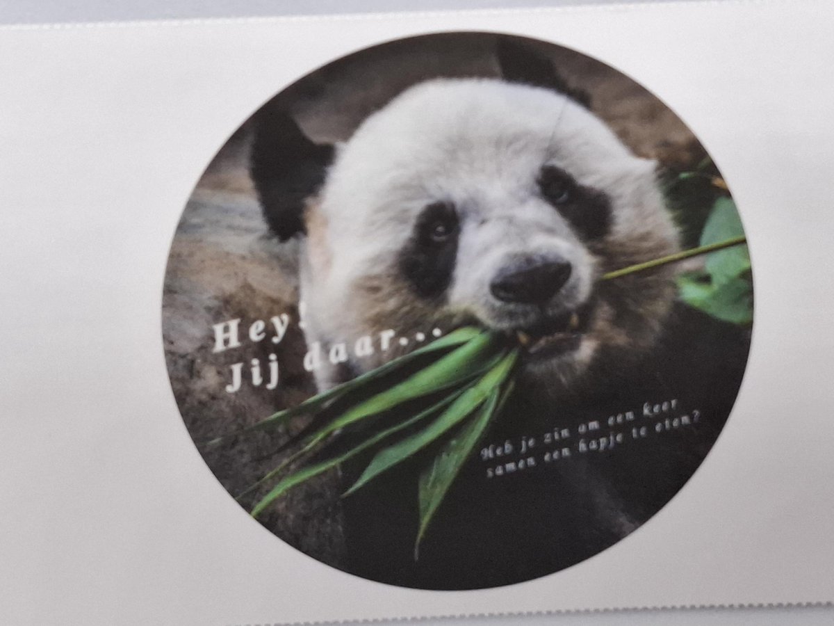 SLUITSTICKERS Panda 10 stuks – 50 mm – Hapje eten - geweldig - Kadosticker – gift – bedankt - Sluitzegel – cadeau sticker