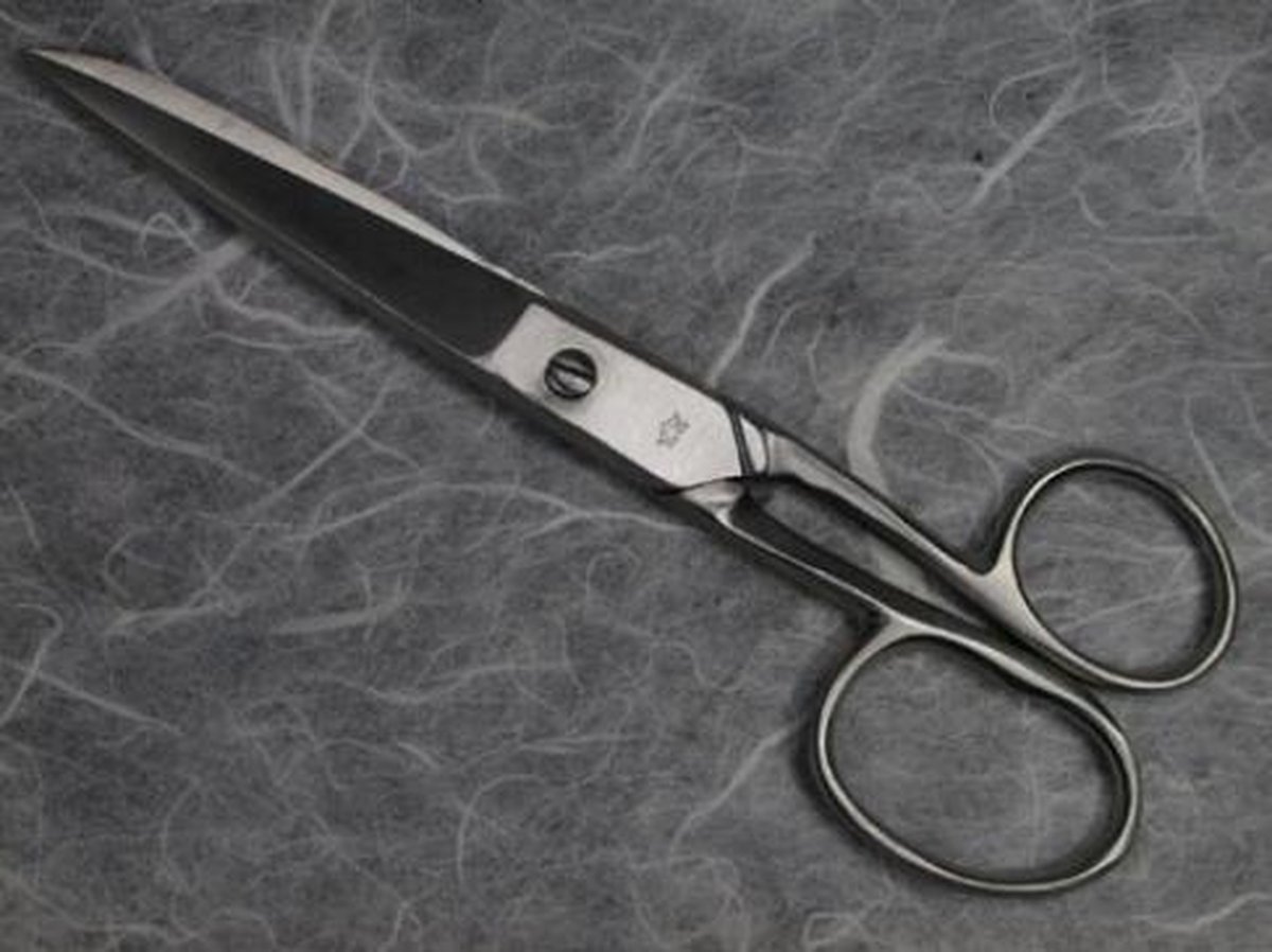   schoolschaar 15 cm ergonomisch - Schaar RVS