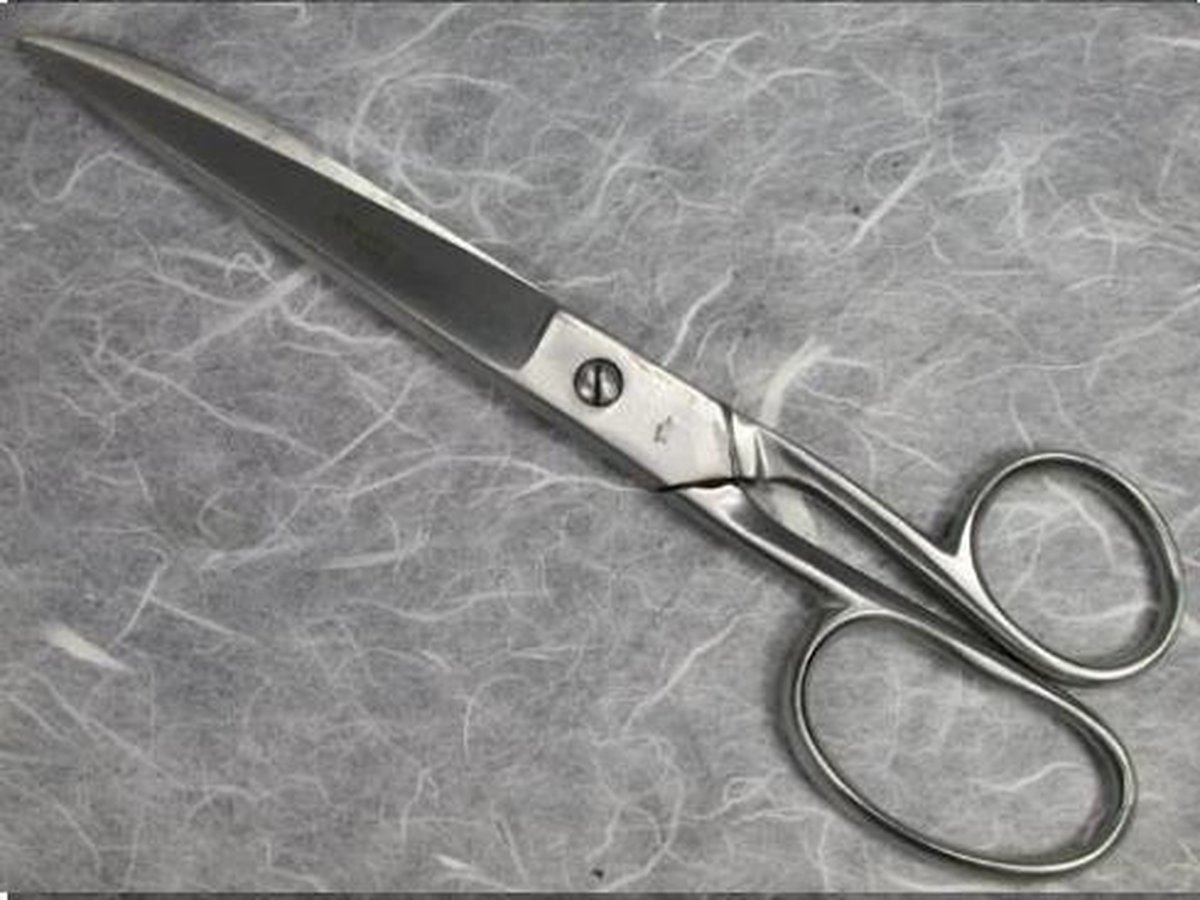   schoolschaar 21 cm - Schaar RVS