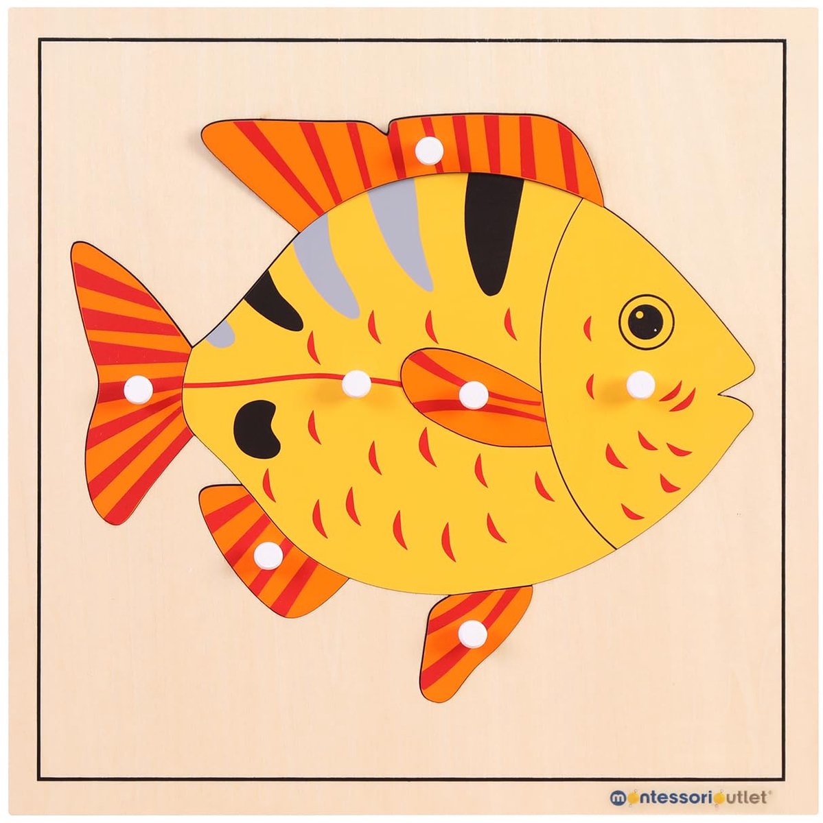 Montessori Vispuzzel, Leermateriaal voor Kleuters, Vispuzzel voor Kinderen van 3-6 Jaar Montessori Onderwijs op School en Thuis