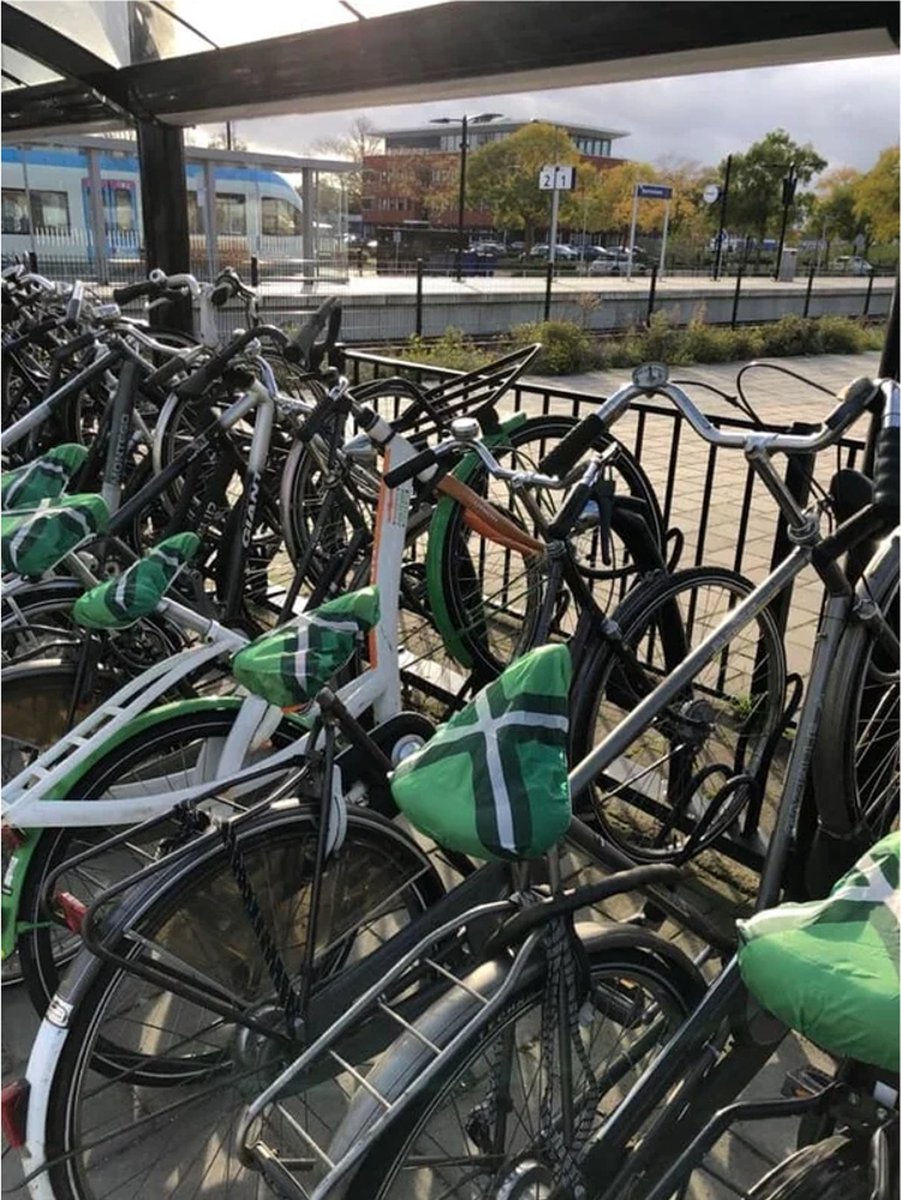 Achterhoekse zadelhoes - Gratis Verzonden