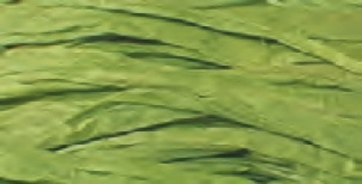 Adaptec Single-channel Ultra320 SCSI card bulk