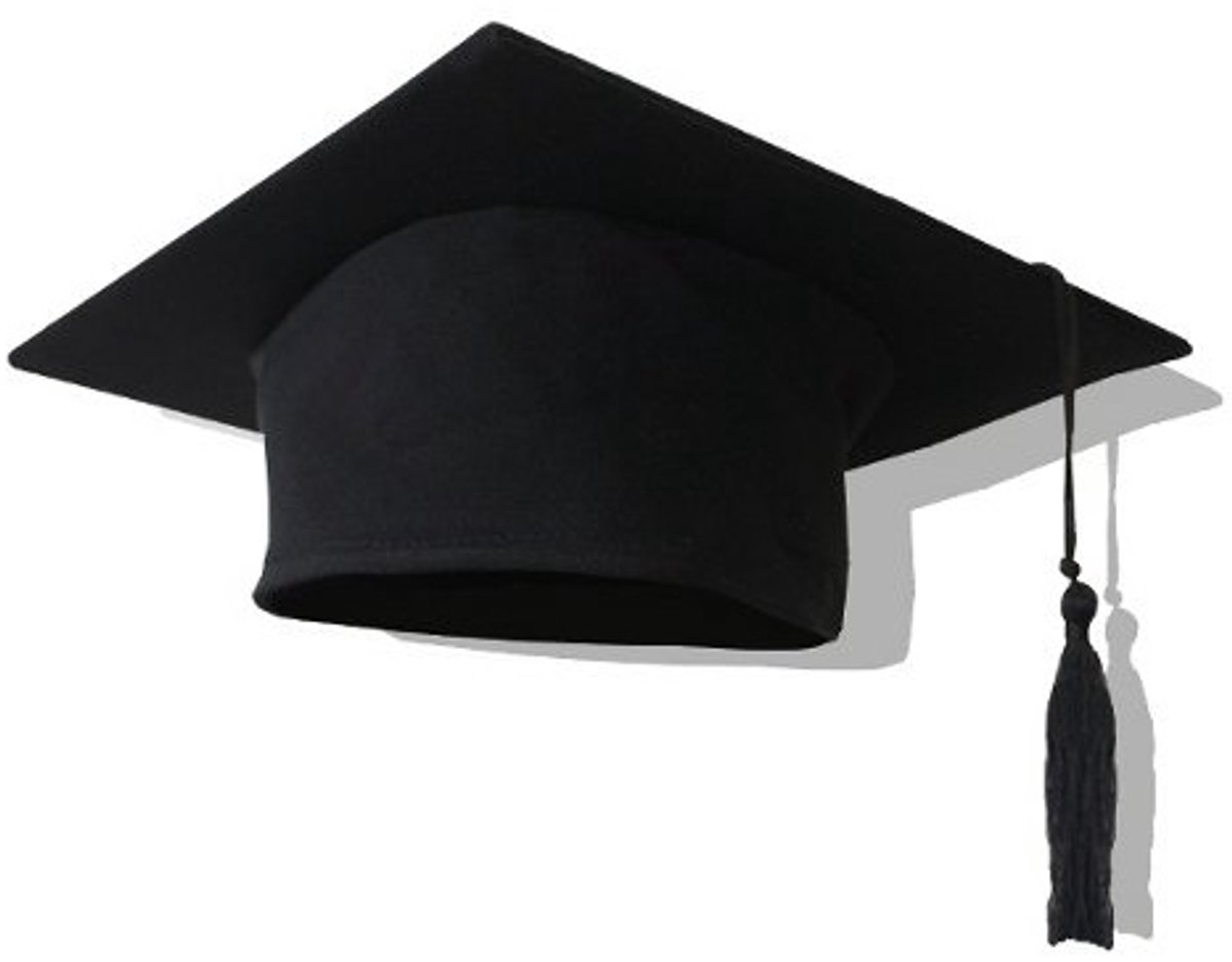 Afstudeerhoed 24 stuks