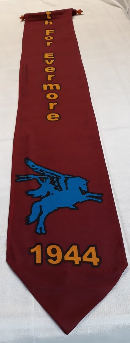 Airborne wimpel met stokje 3m lang