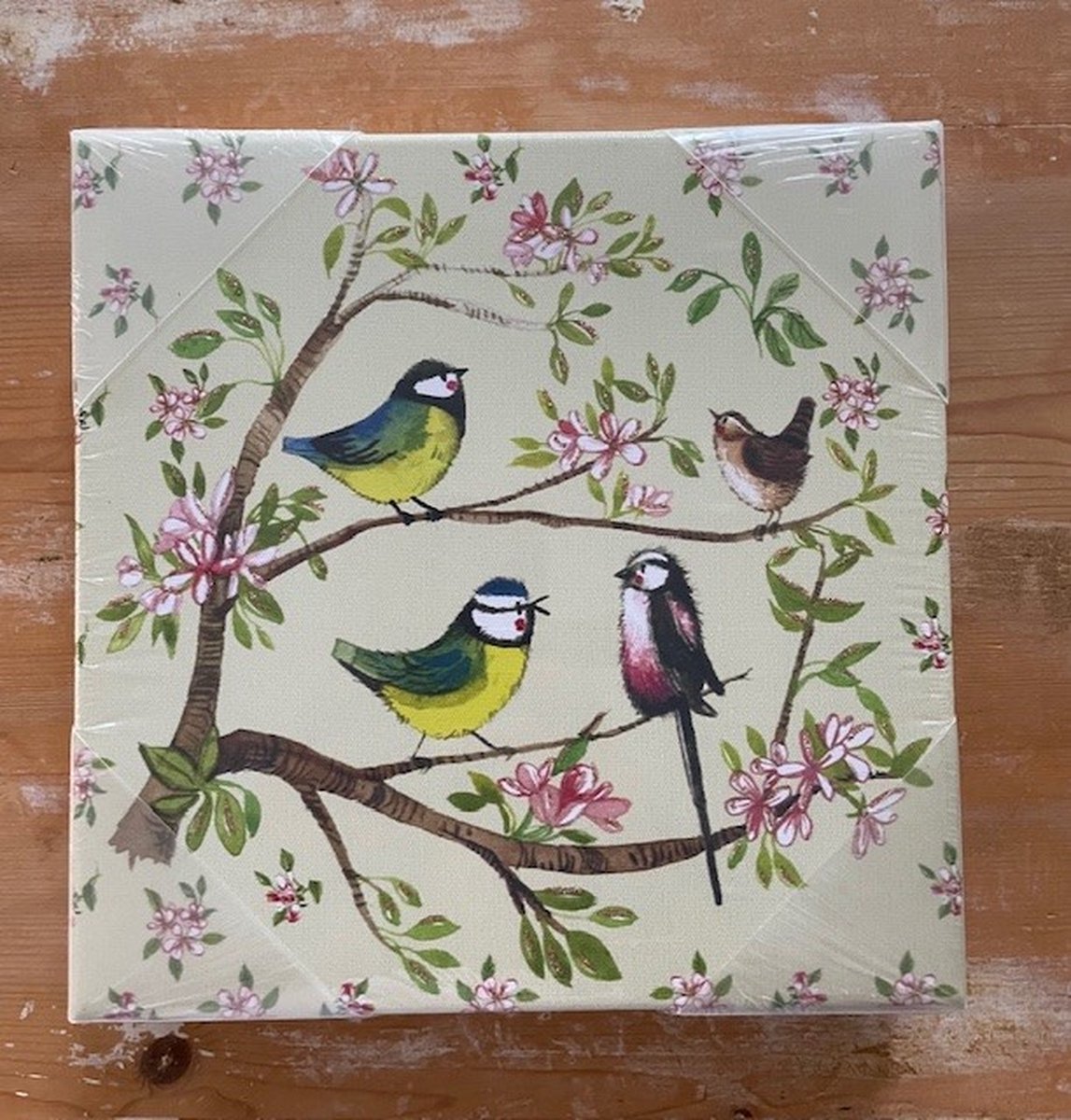 Alex Clark Canvas Garden Birds Small ~ Cancas doek Vogels