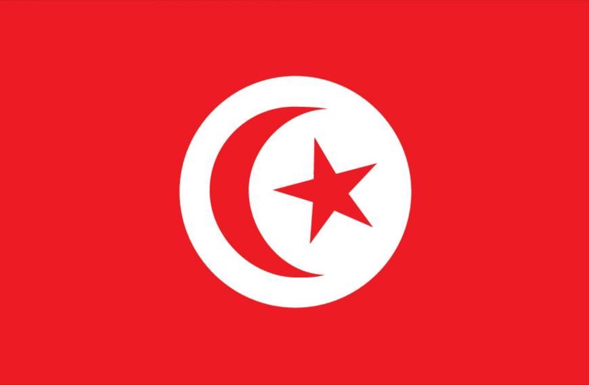 Sticker Tunesië 6 x 8 cm