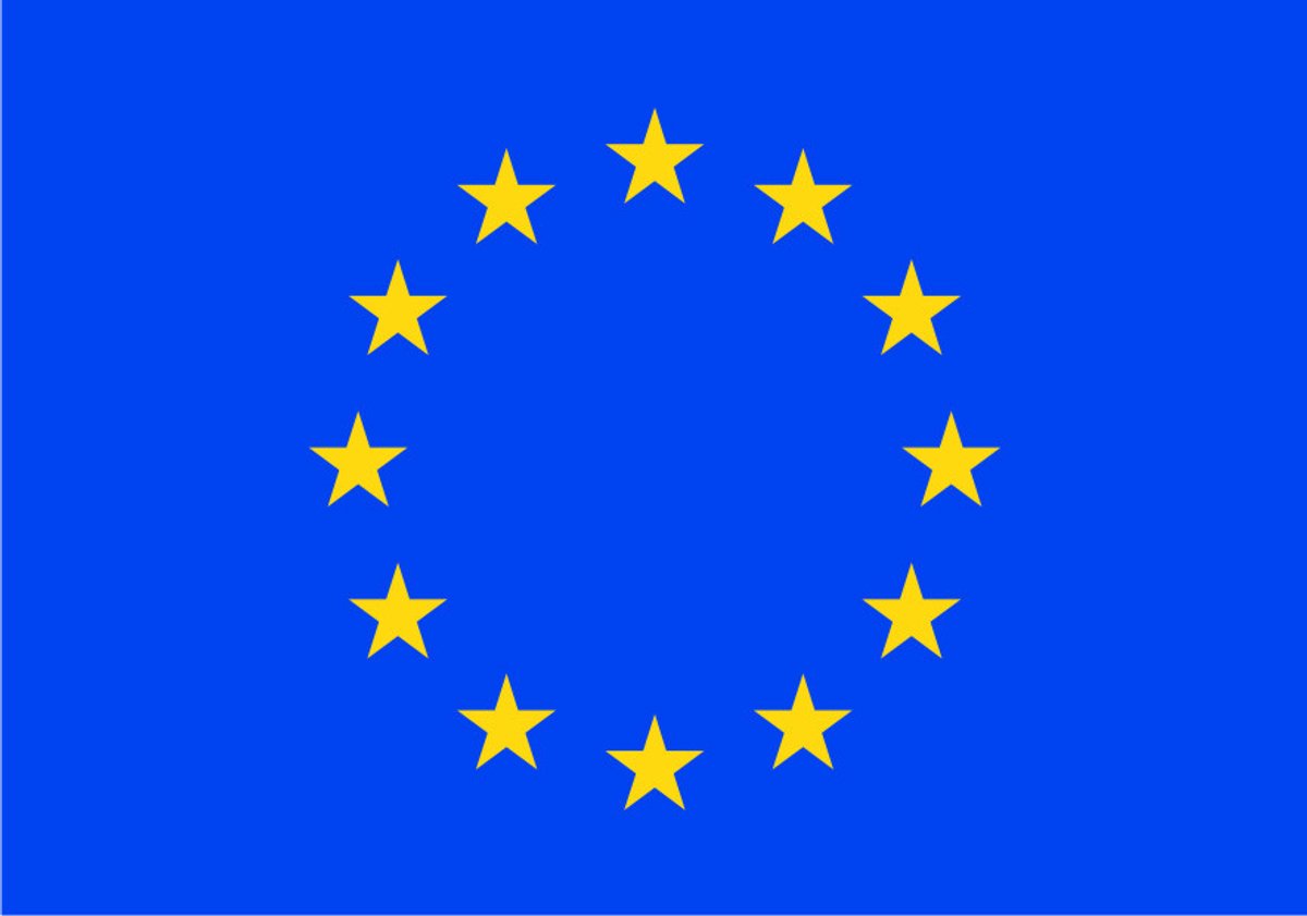 Vlag Europa - 100 x 150 cm