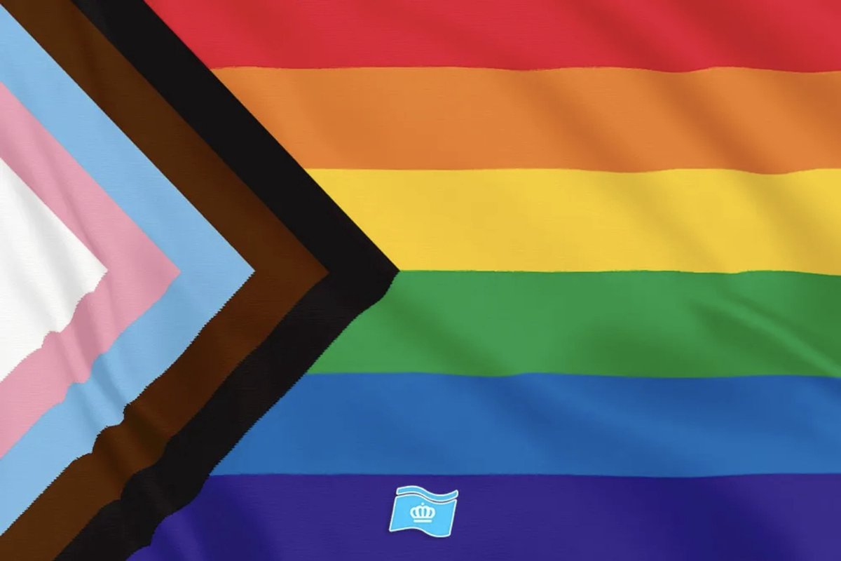 Vlag Progress 200x300 cm