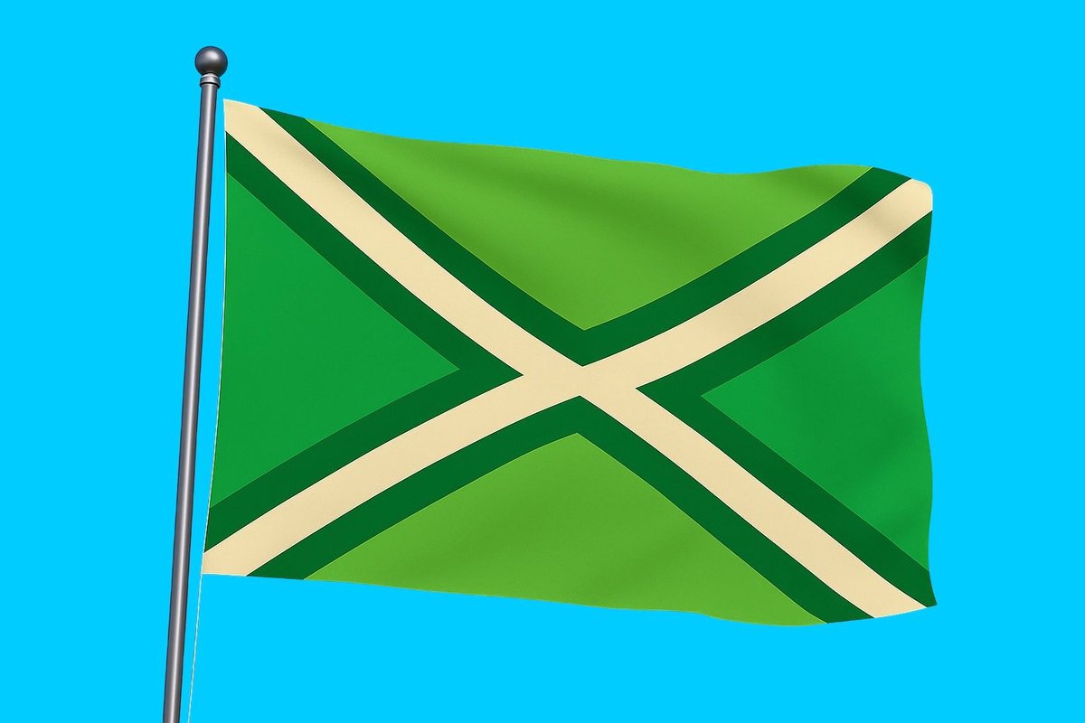 Vlag streek Achterhoek 225x350 cm