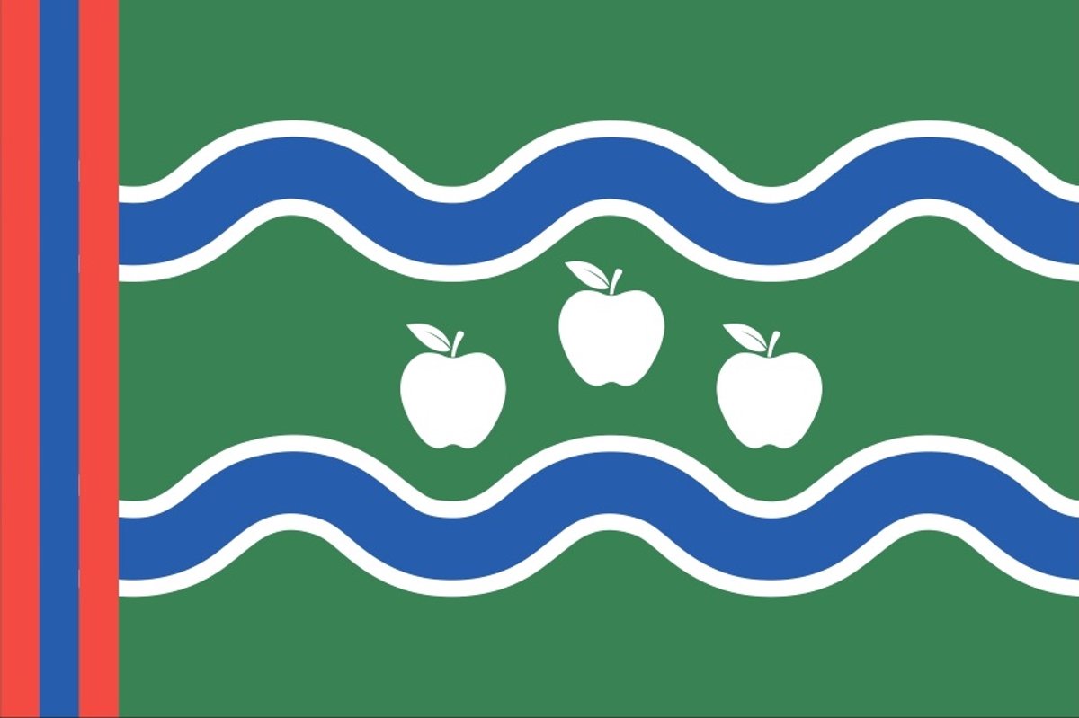 Vlag streek Betuwe 030x045 cm