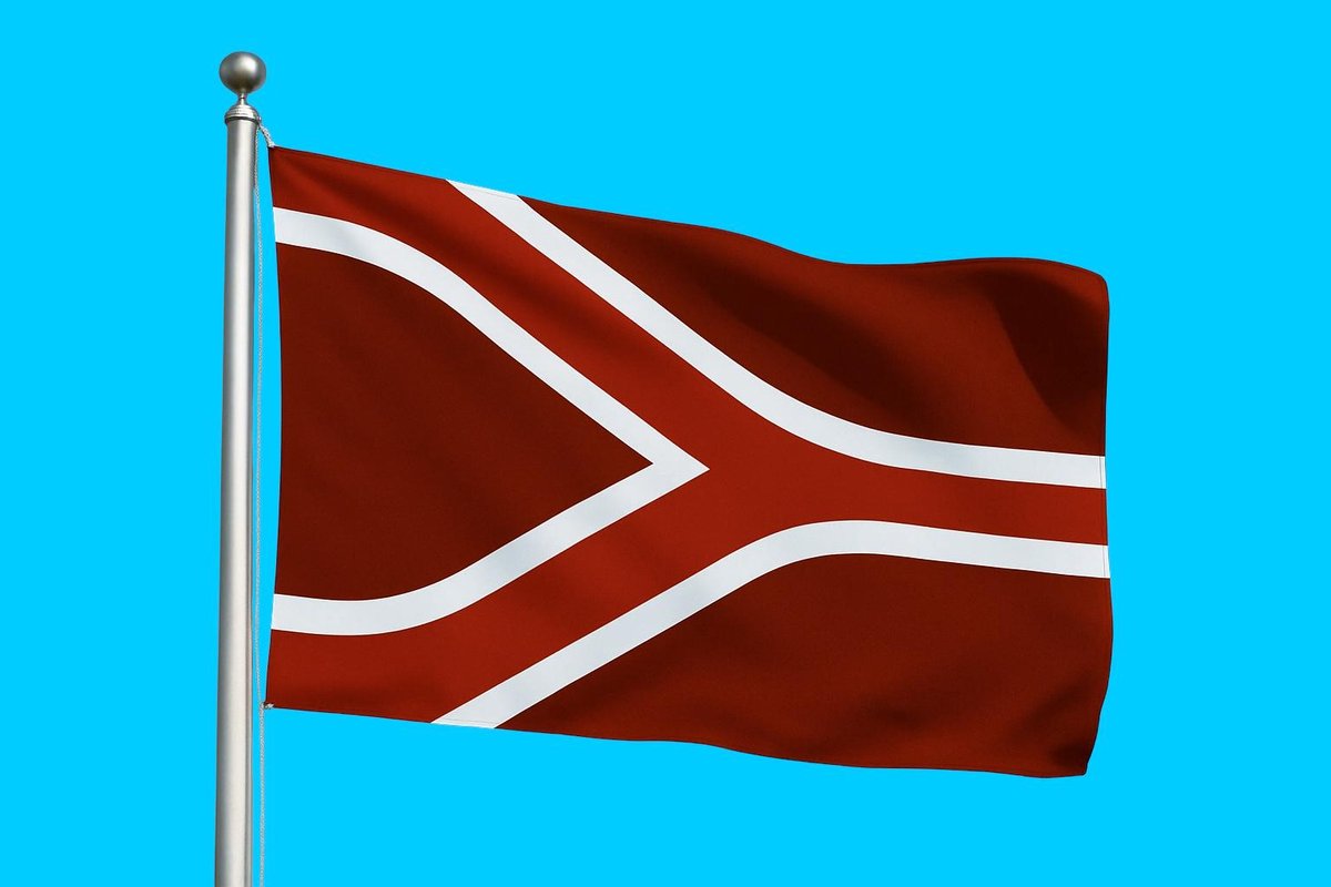 Vlag streek Liemers 030x045 cm