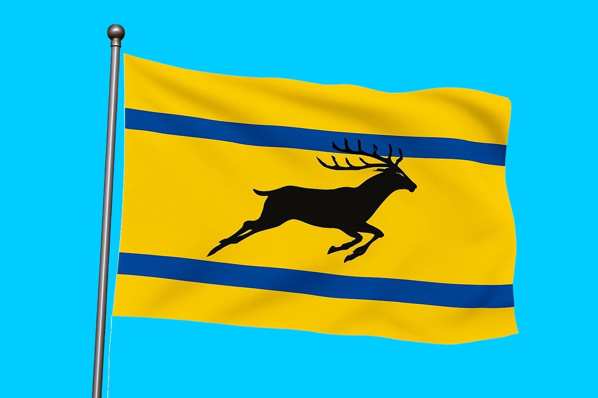 Vlag streek Veluwe 010x015 cm