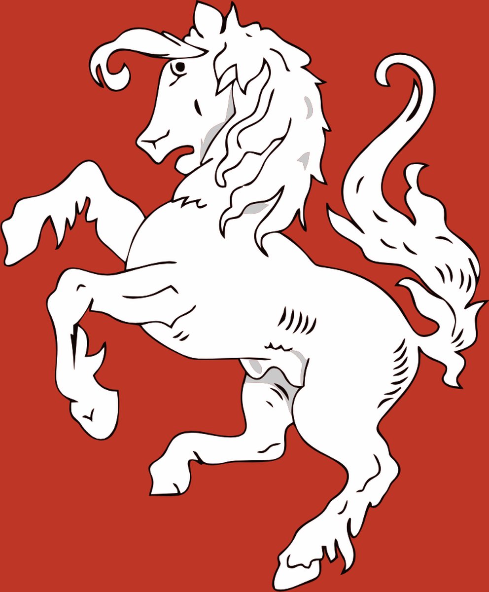 Vlag ’Twentse Ros’ 30 x 45 cm