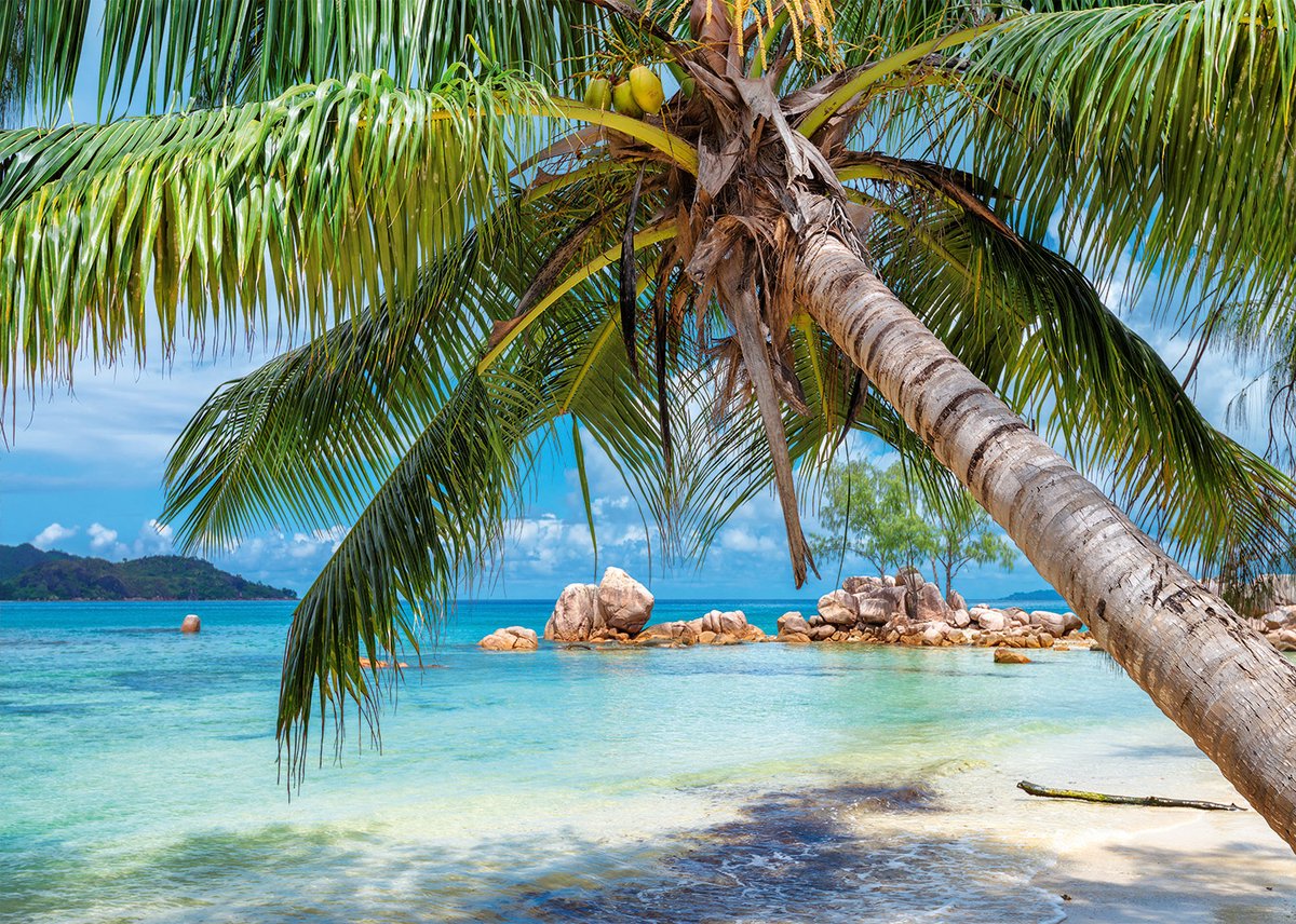 Alipson Puzzle legpuzzel Tropical Beach 1000 stukjes kunststof.