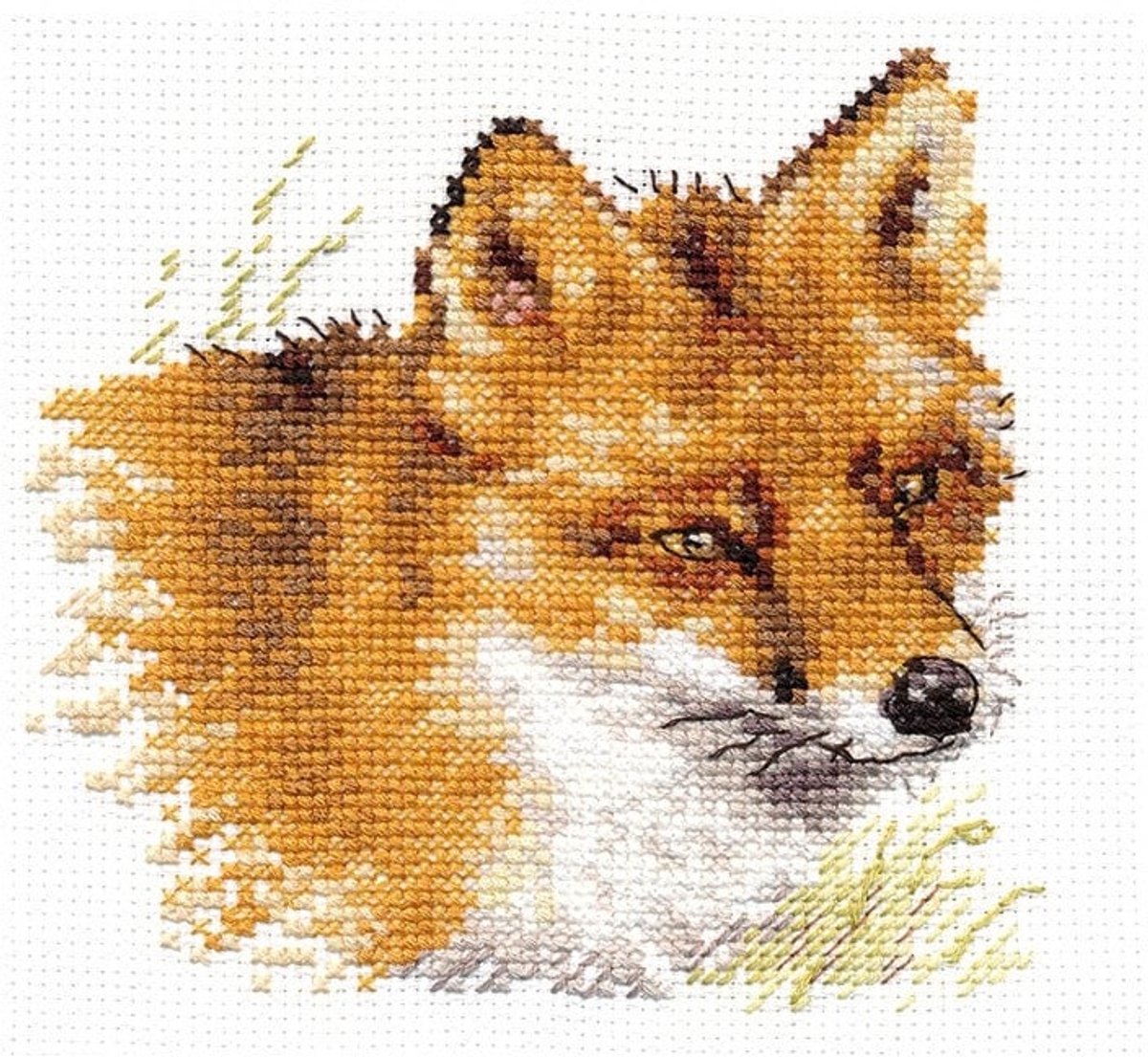 Vos borduren (pakket)