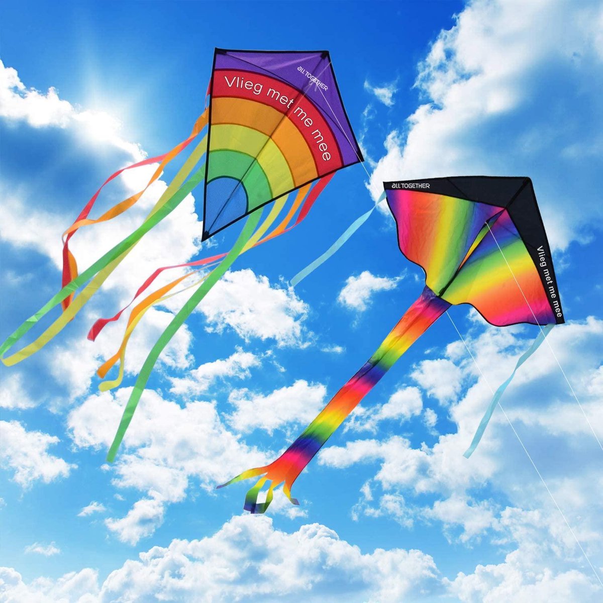 2x Regenboog vliegers met draagtas - Delta vlieger en Diamond vlieger- vliegers voor kinderen -Kite vlieger