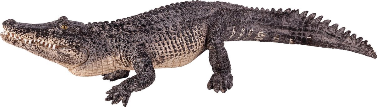 Animal Planet Alligator met gearticuleerde kaak