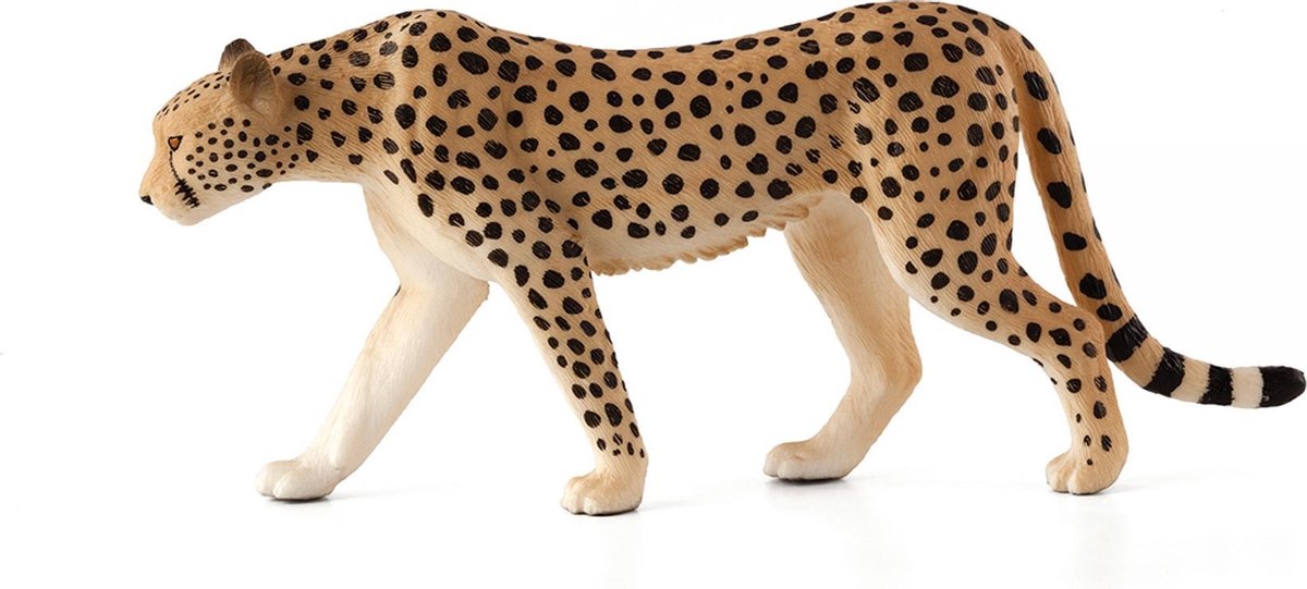 Animal Planet Cheetah Mannetje