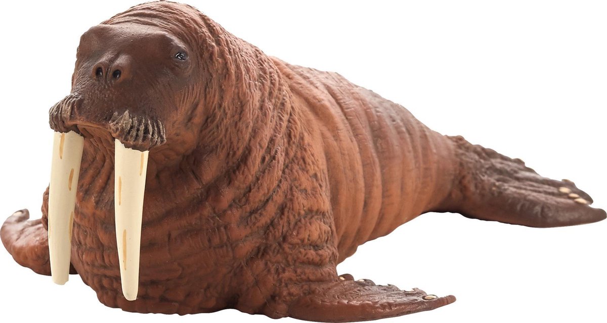 Animal Planet Walrus