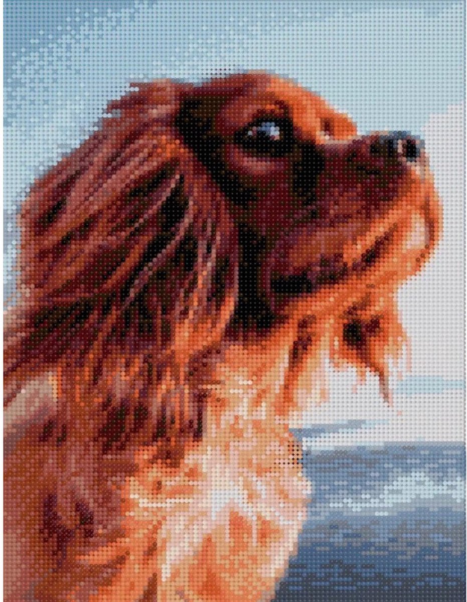 Diamond Painting Lovely dog 30 x 40 cm