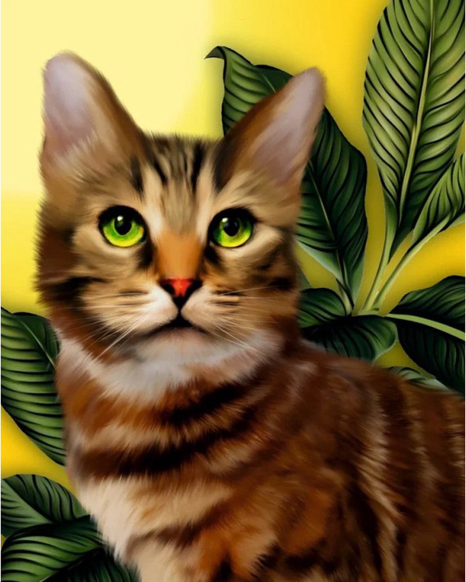 Diamond painting op kader 