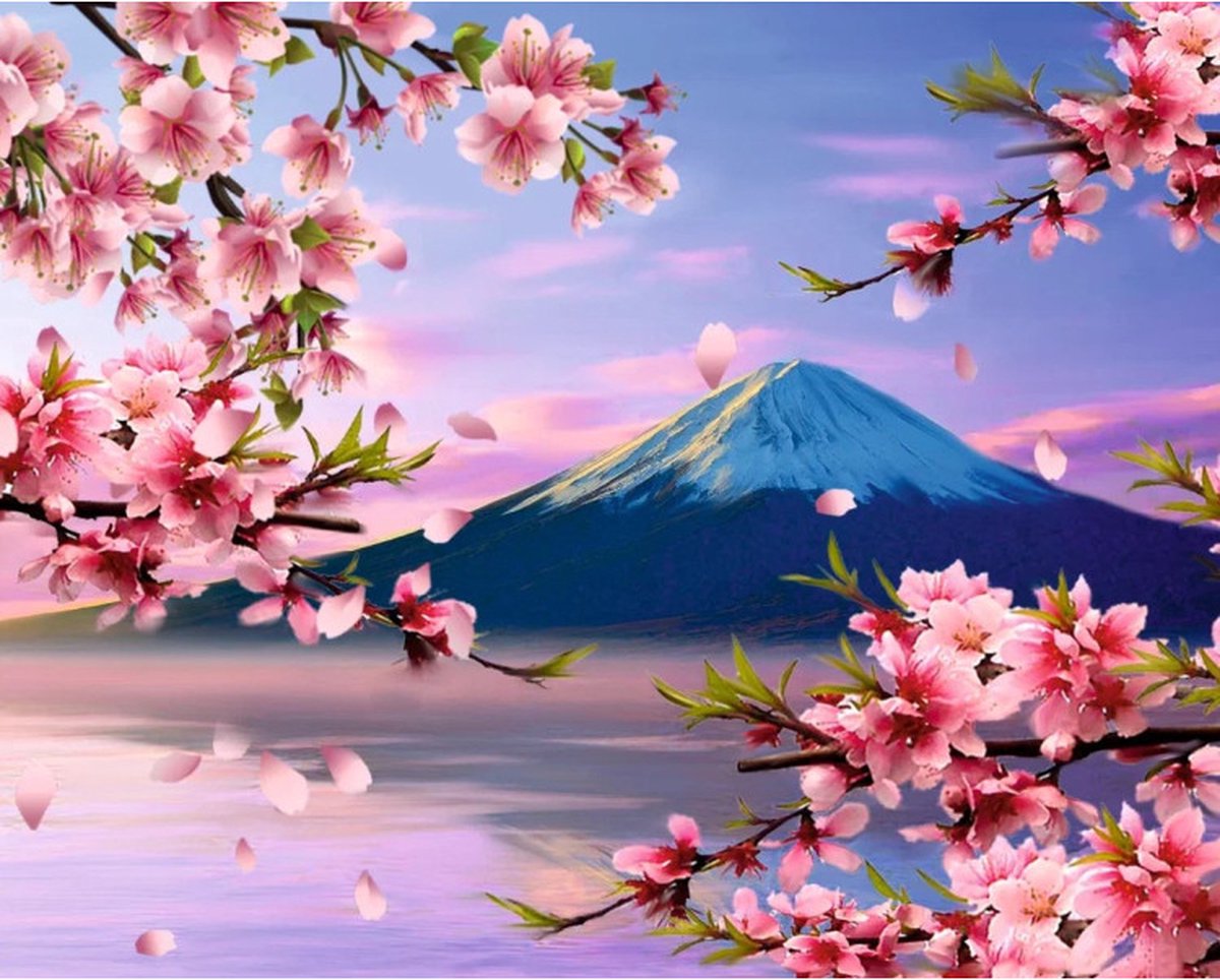 Diamond painting op kader 