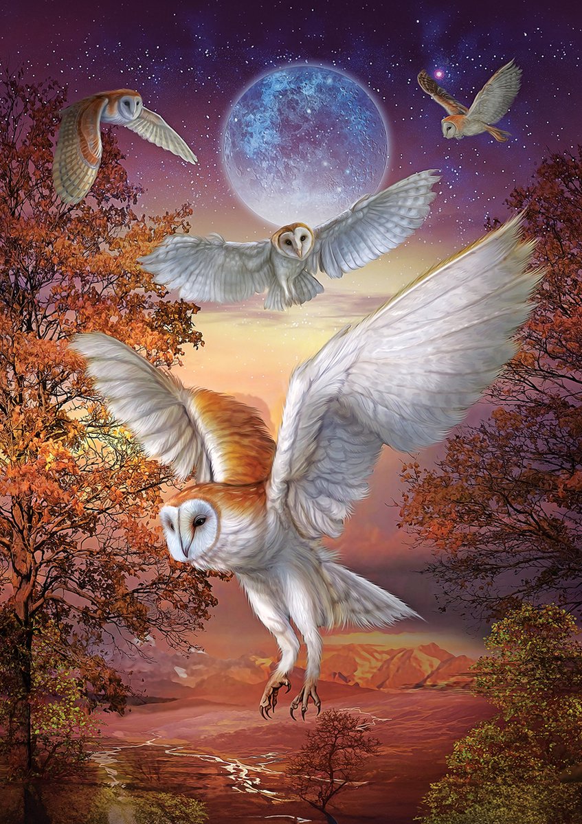 Art puzzel Moonlight Owls - 1000 stukjes.