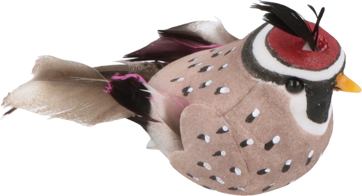 SET 10 BIRDS 8,5-13CM