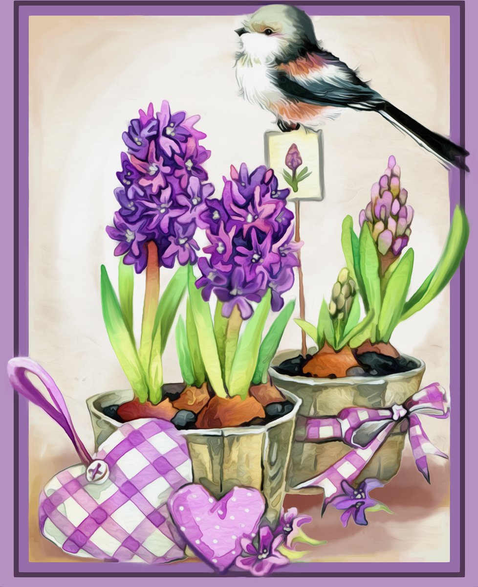 Diamond Painting geurige hyacinten AZ -1467 24 x 30 cm