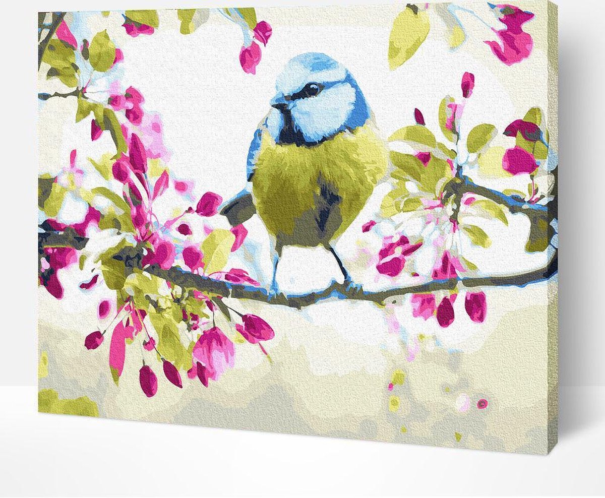 Arty Bee® Schilderen Op Nummer Volwassenen - Paint By Number - Hobby Pakket op Frame met Vernis - Pimpelmees 50x40cm