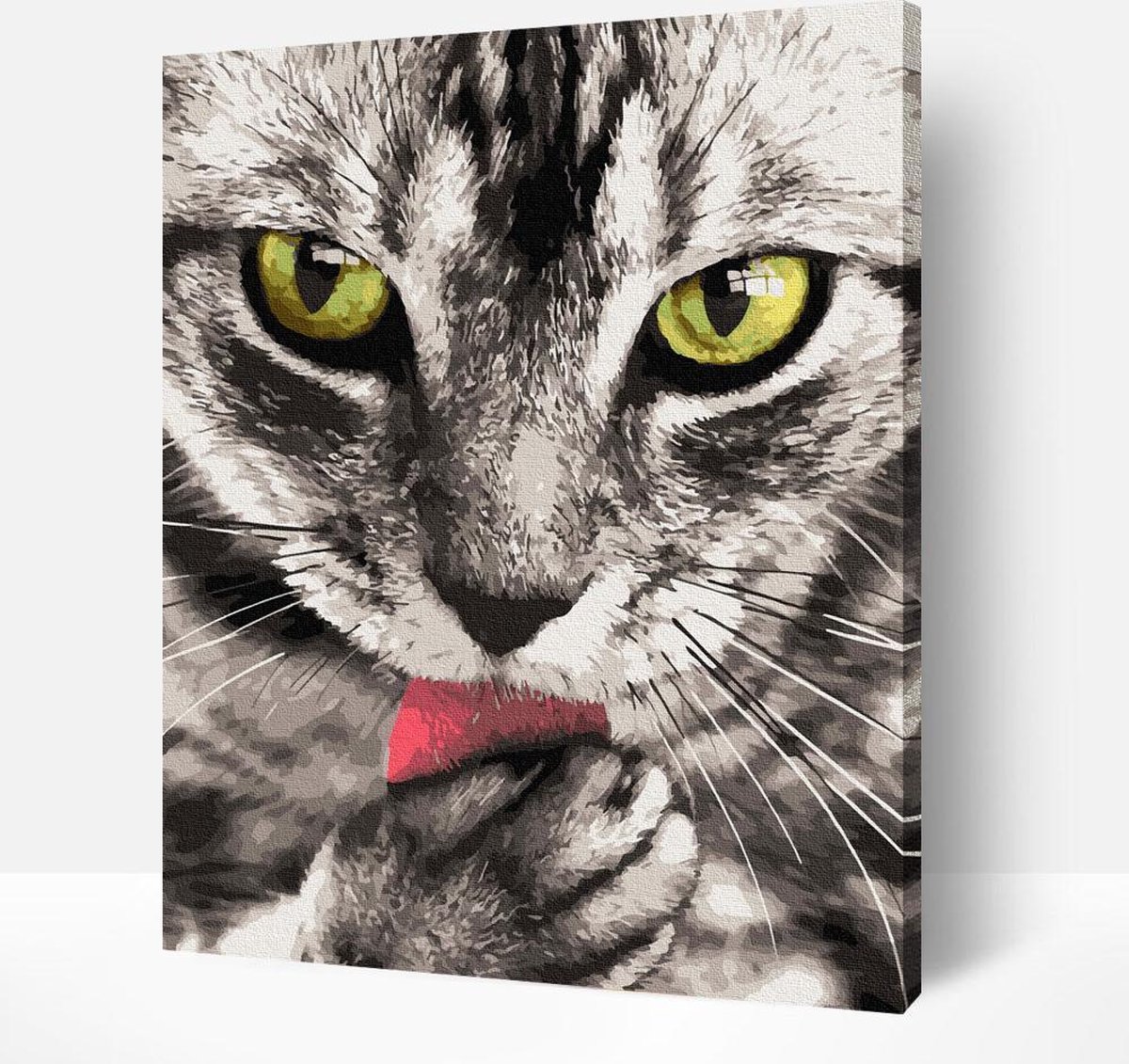 Arty Bee® Schilderen Op Nummer Volwassenen - Paint By Number - Hobby Pakket op Frame met Vernis - Zwart & Wit Kat 40x50cm