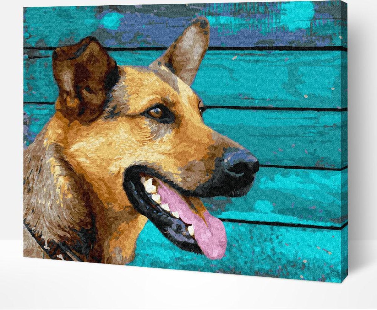 Arty Bee® Schilderen Op Nummer Volwassenen - Paint By Number - Hobby Pakket op Frame met Vernis -Trotse Herder 50x40cm