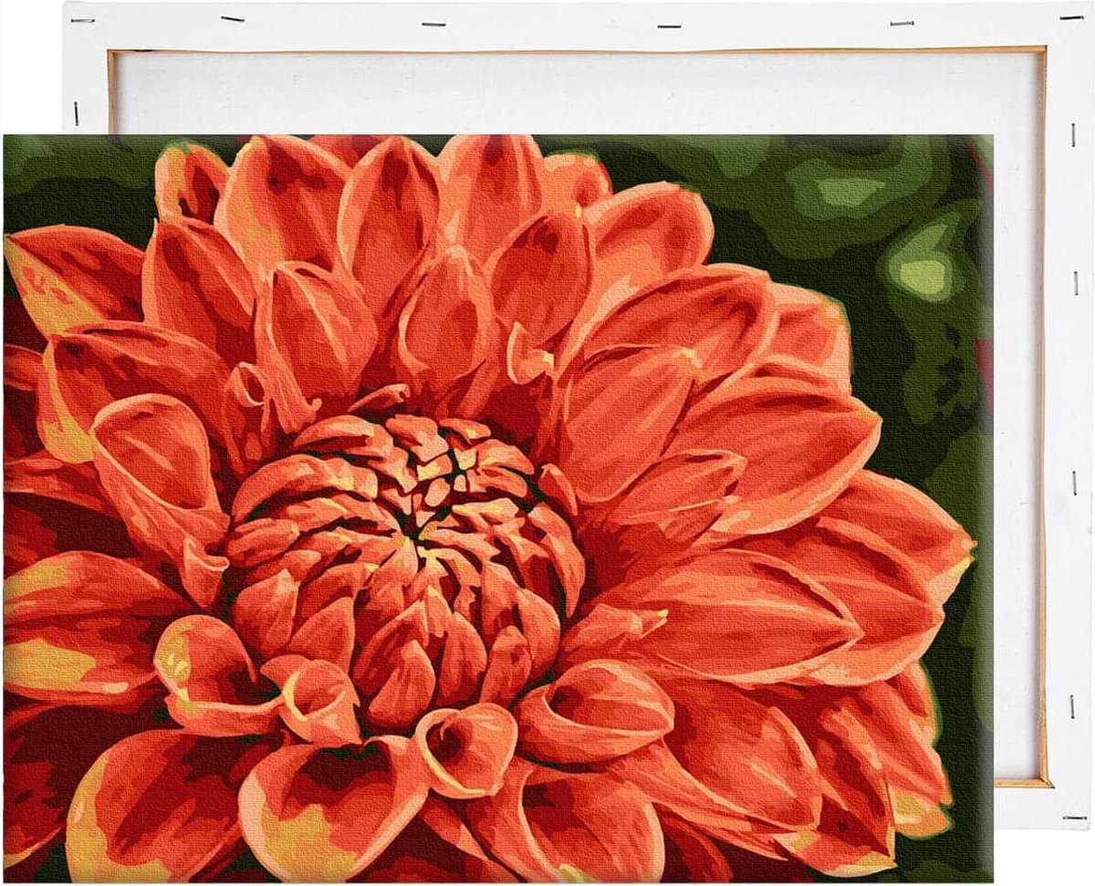 Schilderen Op Nummer Volwassenen DIY Paint By Number Compleet Hobby Pakket op Frame met Vernis - ®Arty Bee - Arty Dahlia 50x40cm