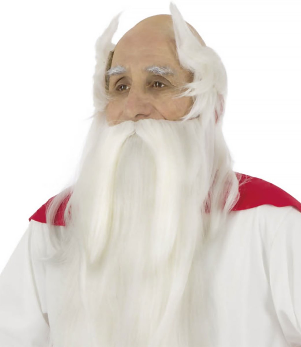 Asterix en Obelix™ Panoramix pruik en baard - Verkleedpruik