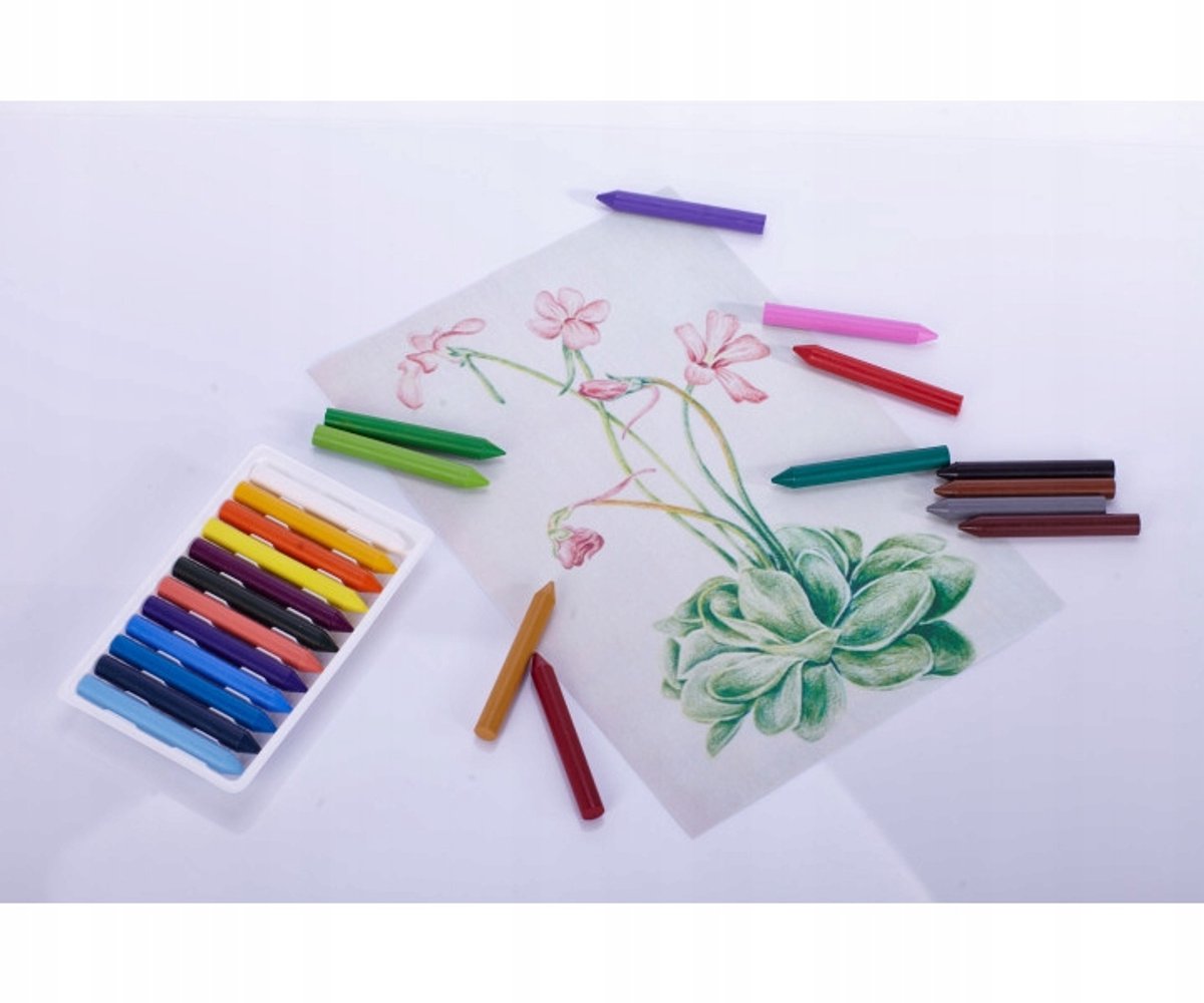 ASTRA Waxkrijtjes Premium - 18 Levendige Kleuren